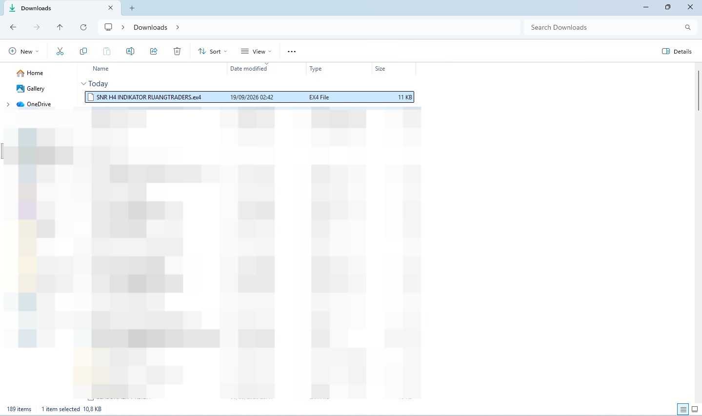 File EA yang sudah didownload di folder Downloads
